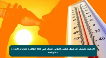 الأرصاد تكشف تفاصيل طقس اليوم.. تعرف على حالة القاهرة ودرجات الحرارة المتوقعة